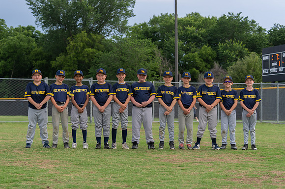 Wolverines_-4