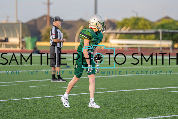 Vs. Wakeland-87