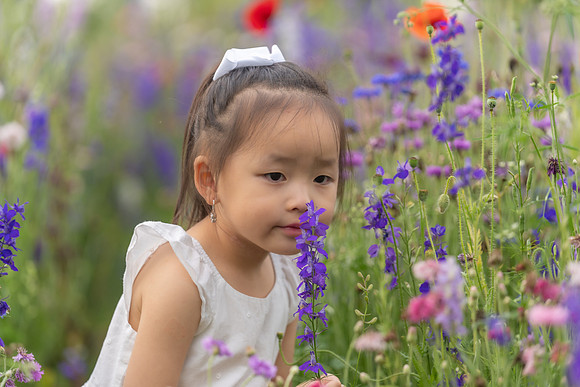 Nguyen Family Spring-35