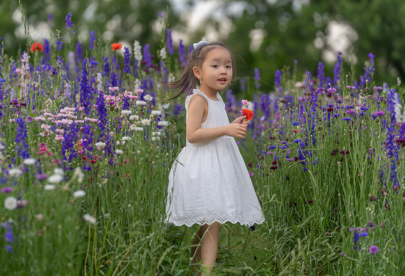 Nguyen Family Spring-88