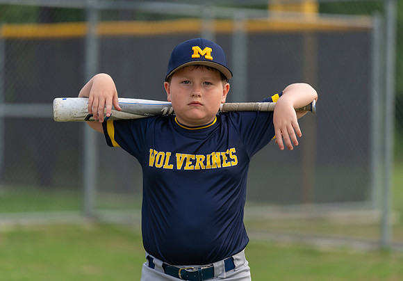 Wolverines_-90