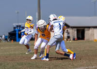 10U Cowboys Vs. Tigers-7