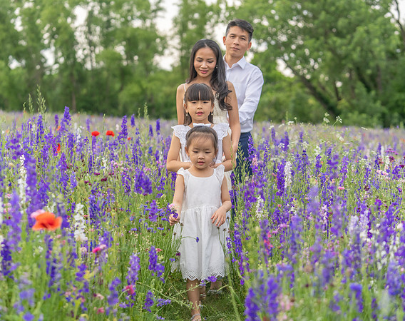 Nguyen Family Spring-65