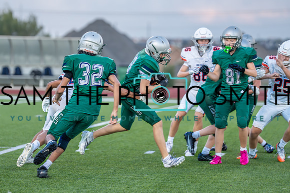 Vs. Wakeland-89