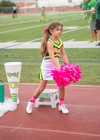 8U Ducks Cheer Sideline-225