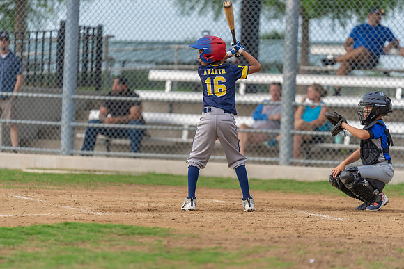Wolverines_-141