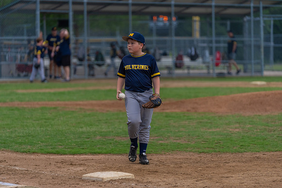 Wolverines_-198