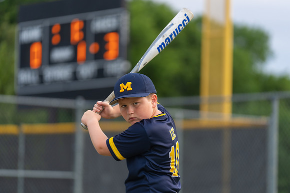 Wolverines_-89