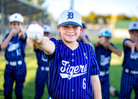 10U Tigers Baseball-55