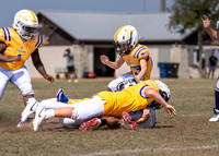10U Cowboys Vs. Tigers-9