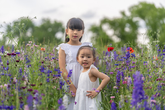 Nguyen Family Spring-3