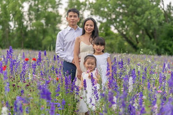 Nguyen Family Spring-64