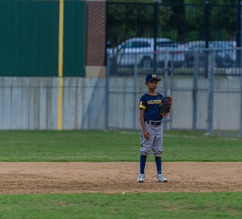 Wolverines_-222