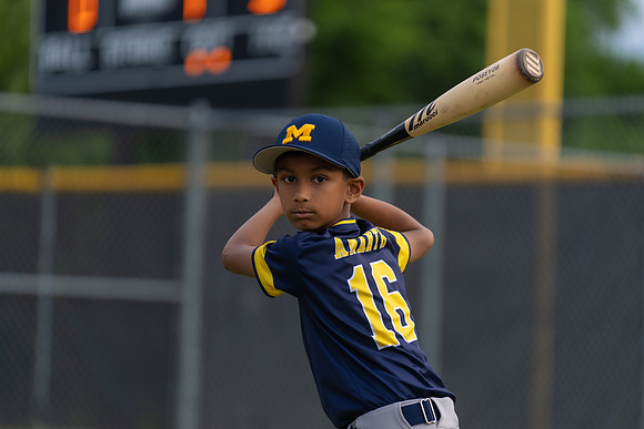Wolverines_-130