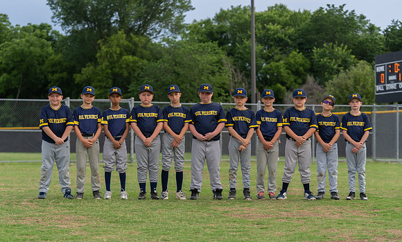Wolverines_-3