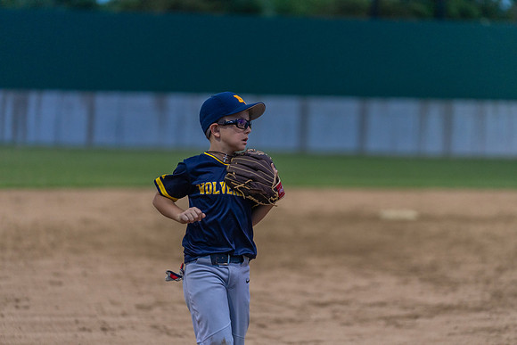 Wolverines_-231