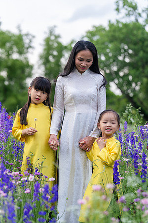 Nguyen Family Spring-155