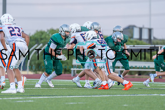 Vs. Wakeland-91