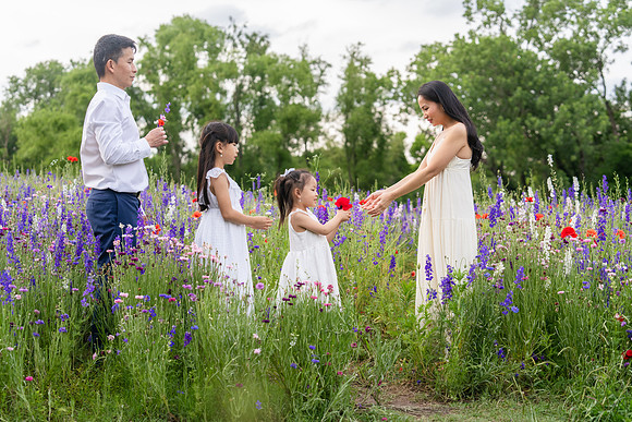 Nguyen Family Spring-122