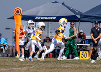 10U Cowboys Vs. Tigers-6