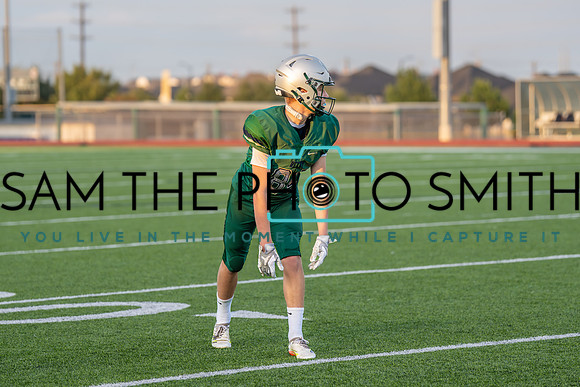 Vs. Wakeland-86