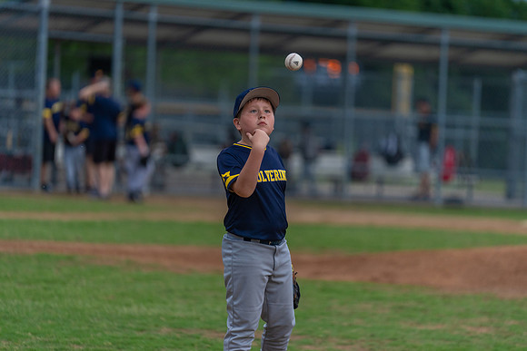 Wolverines_-199