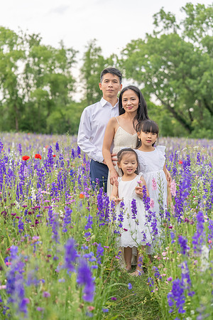 Nguyen Family Spring-59