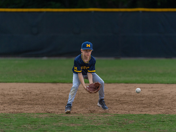 Wolverines_-201