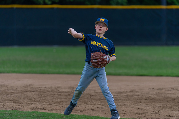 Wolverines_-203