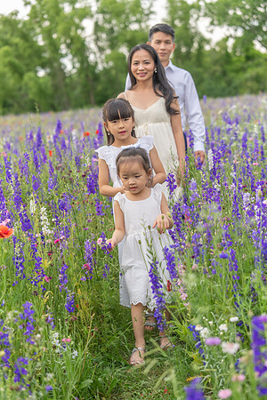 Nguyen Family Spring-67