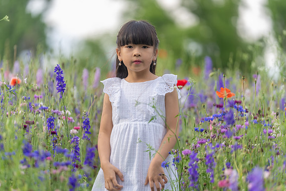 Nguyen Family Spring