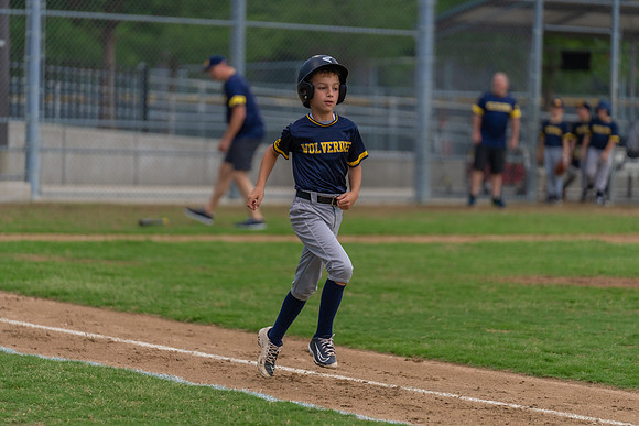 Wolverines_-186