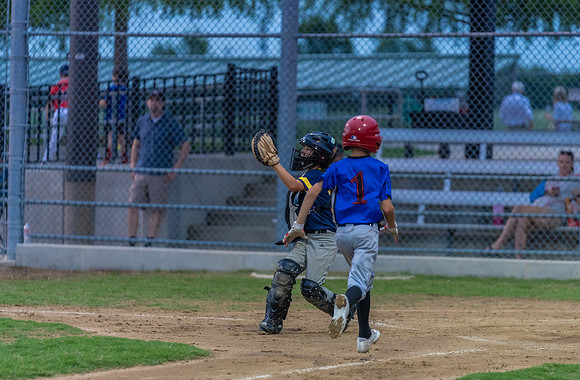 Wolverines_-229