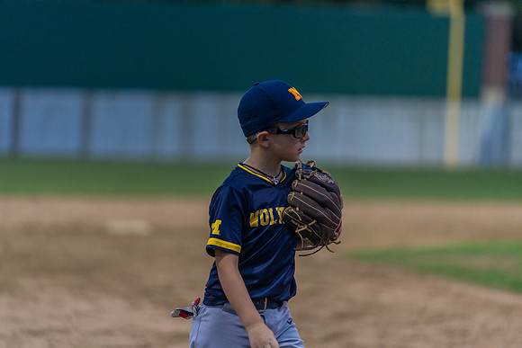 Wolverines_-232