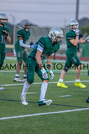 Vs. Wakeland-98