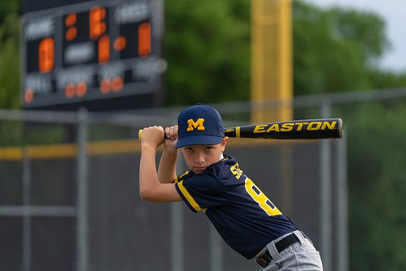 Wolverines_-80