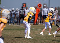 10U Cowboys Vs. Tigers-18
