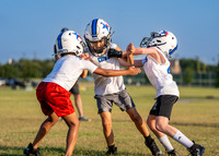 Cowboys-12