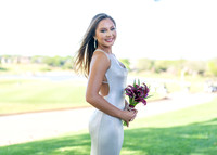 Prom-6