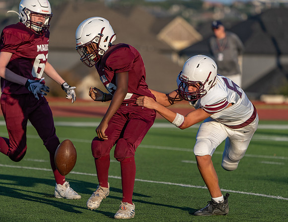 Pearson 8th-33