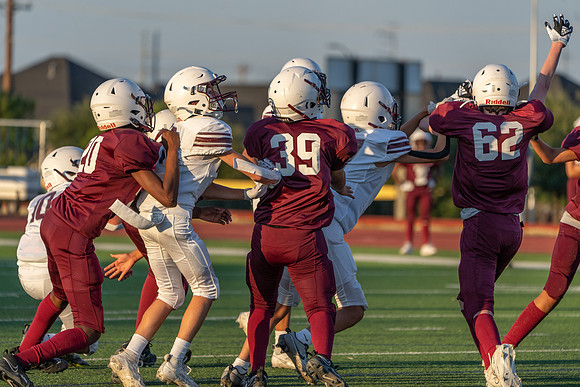 Pearson 8th-48