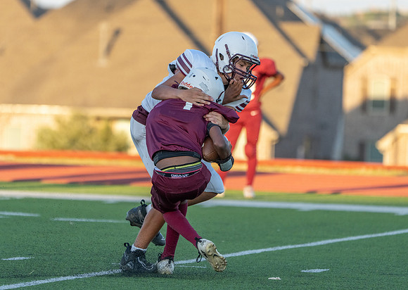 Pearson 8th-50
