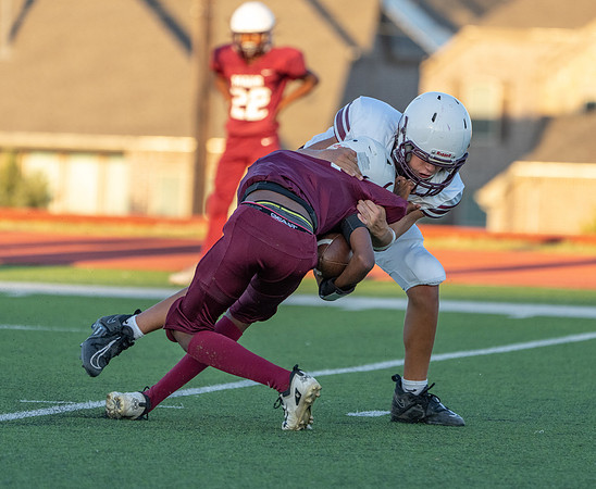 Pearson 8th-51