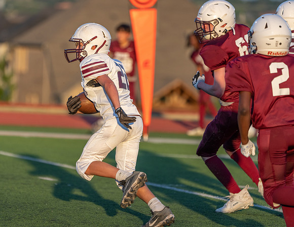 Pearson 8th-55