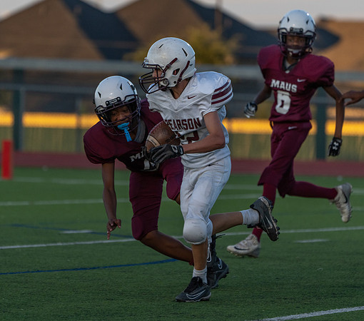 Pearson 8th-61
