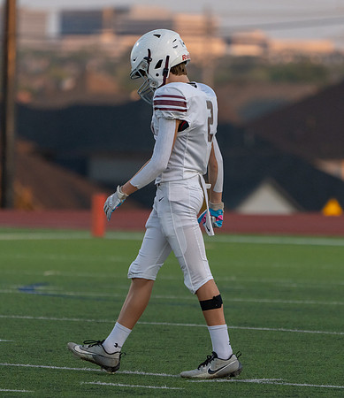 Pearson 8th-85
