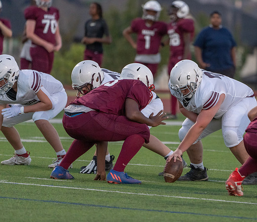 Pearson 8th-111