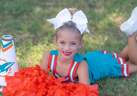 6U Dolphins-10