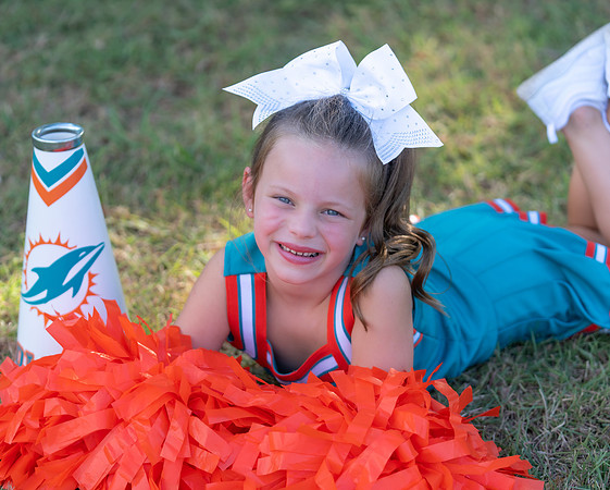 6U Dolphins-14