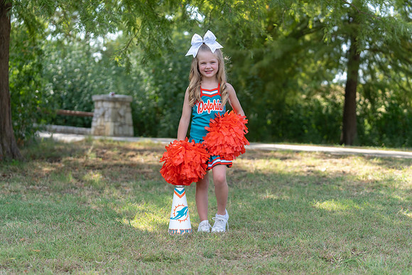 6U Dolphins